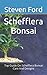 Schefflera Bonsai: Top Guid...
