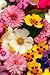 Flower Journal