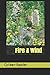 Fire & Wind by Colleen Reader