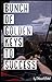 Bunch of Golden Keys to Success: Shortcuts as Smartness