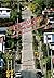 The Steepest Street in the ...