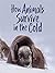 How Animals Survive in the ...