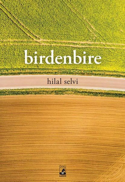 Birdenbire (Paperback)