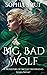 Big, Bad, Wolf  by Sophia Smut