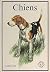 Chiens (French Edition)