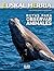 Rutas para observar animales