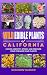 Wild Edible Plants of Calif...