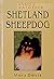 Shetland Sheepdog