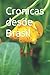 Cronicas desde Brasil