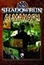 Shadowrun Almanach