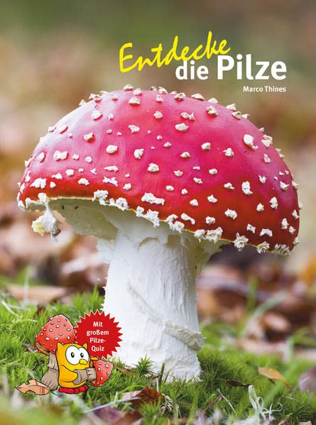 Entdecke die Pilze (Paperback)