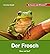 Der Frosch: Schauen und Wis...