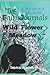 The Fairy Journals: Wild Fl...