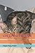 Cat Colouring Book