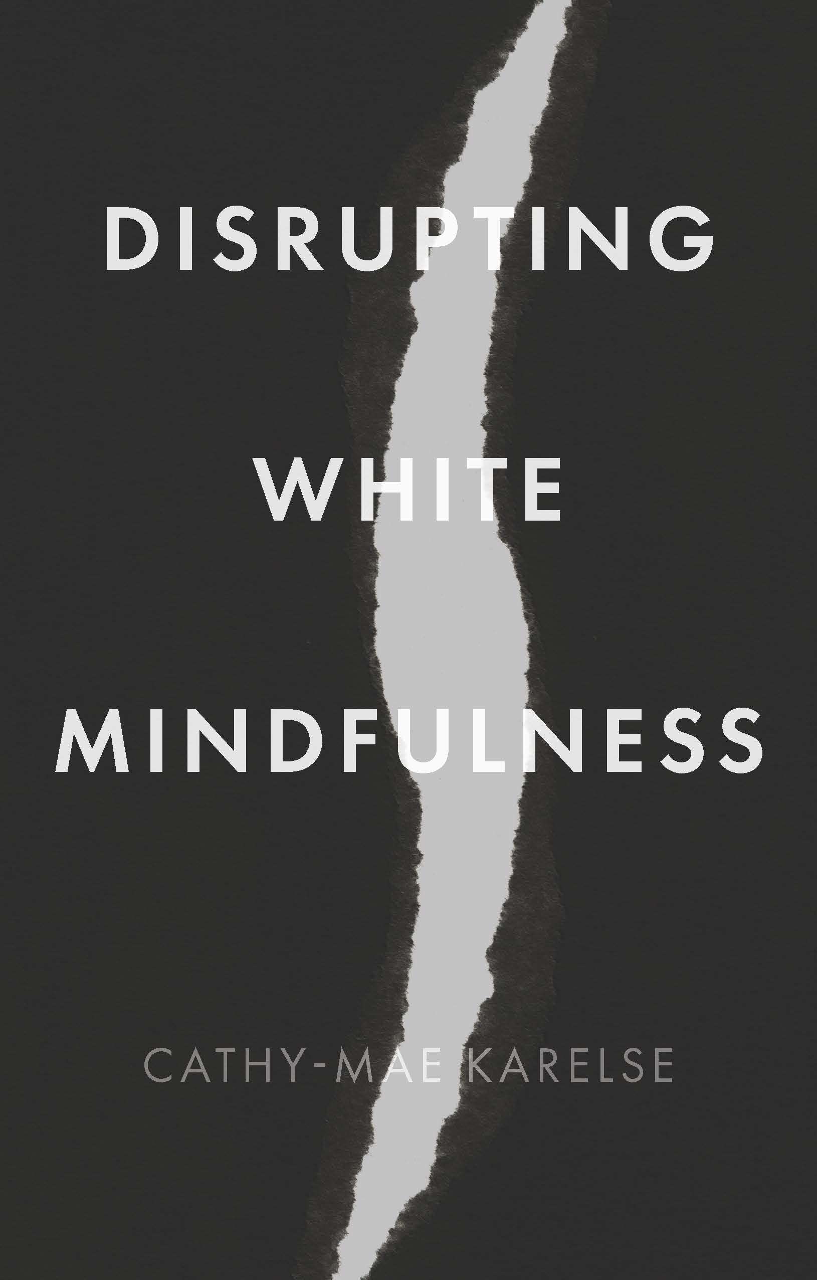 Disrupting White Mindfulness: Race and Racism in the Wellbeing Industry (Hardcover)