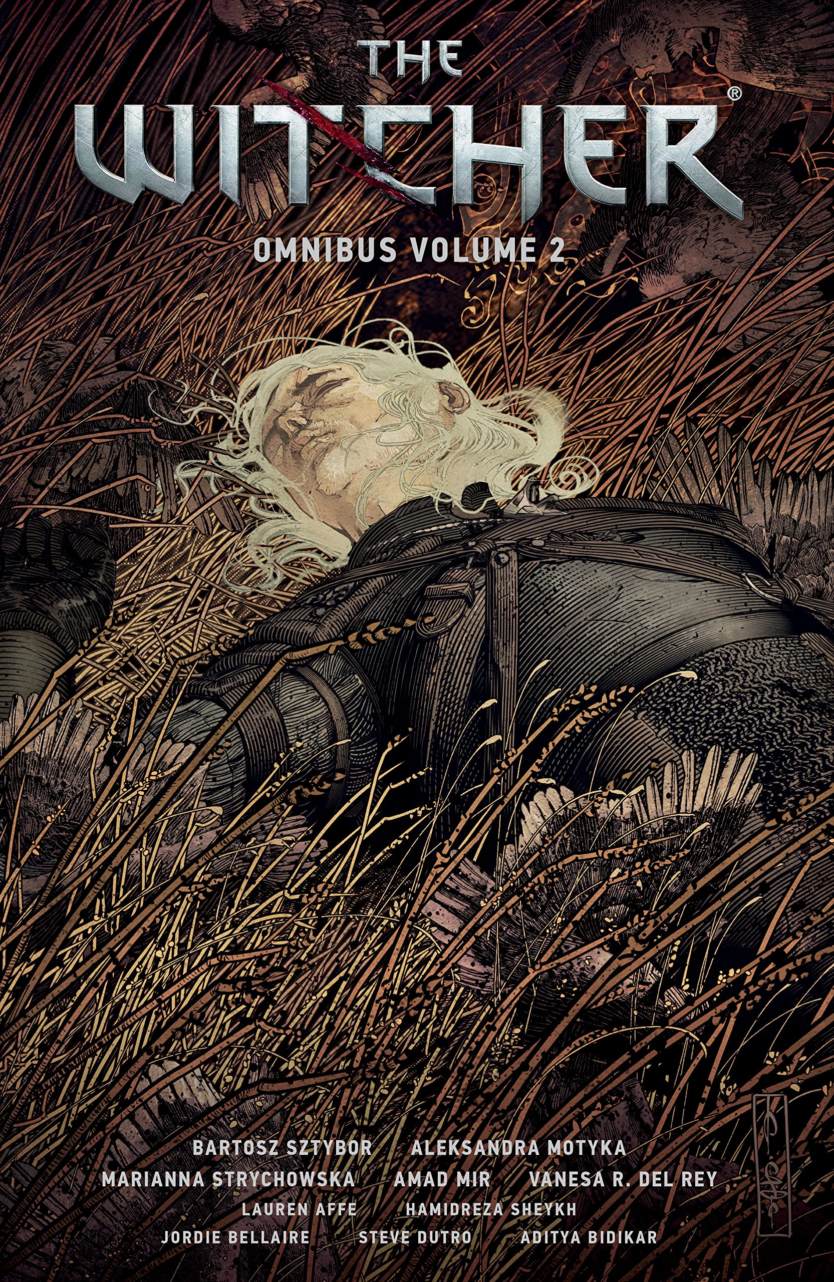 The Witcher Omnibus, Volume 2 (Paperback)