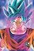 Goku SSJ Blue Paperback Not...