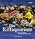 Das Riffaquarium by Phil Hunt