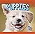 Puppies