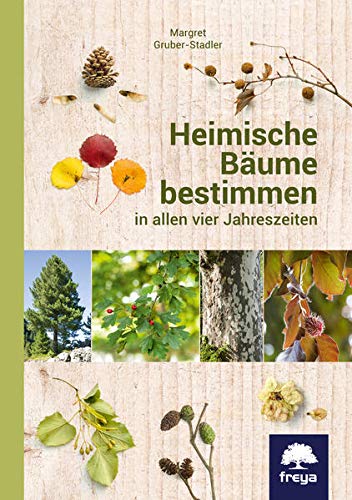 Heimische Bäume bestimmen: in allen vier Jahreszeiten (Paperback)