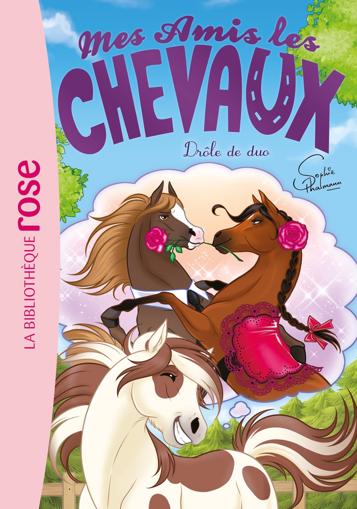 Mes amis les chevaux 38 - Drôle de duo (Pocket Book)