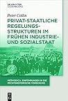 Privat-staatliche Regelungsstrukturen im frühen Industrie- und Sozialstaat (methodica 2) (German Edition)