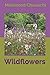 Wildflowers
