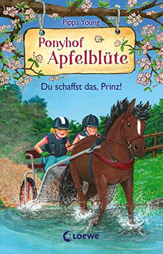 Du schaffst das, Prinz! (Ponyhof Apfelblüte #19)