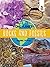 Rocks and Fossils (One Planet)