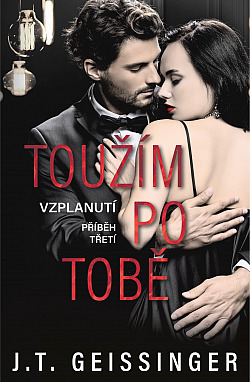 Toužím po tobě (Vzplanutí, #3)