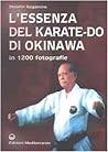 L'essenza del kar...