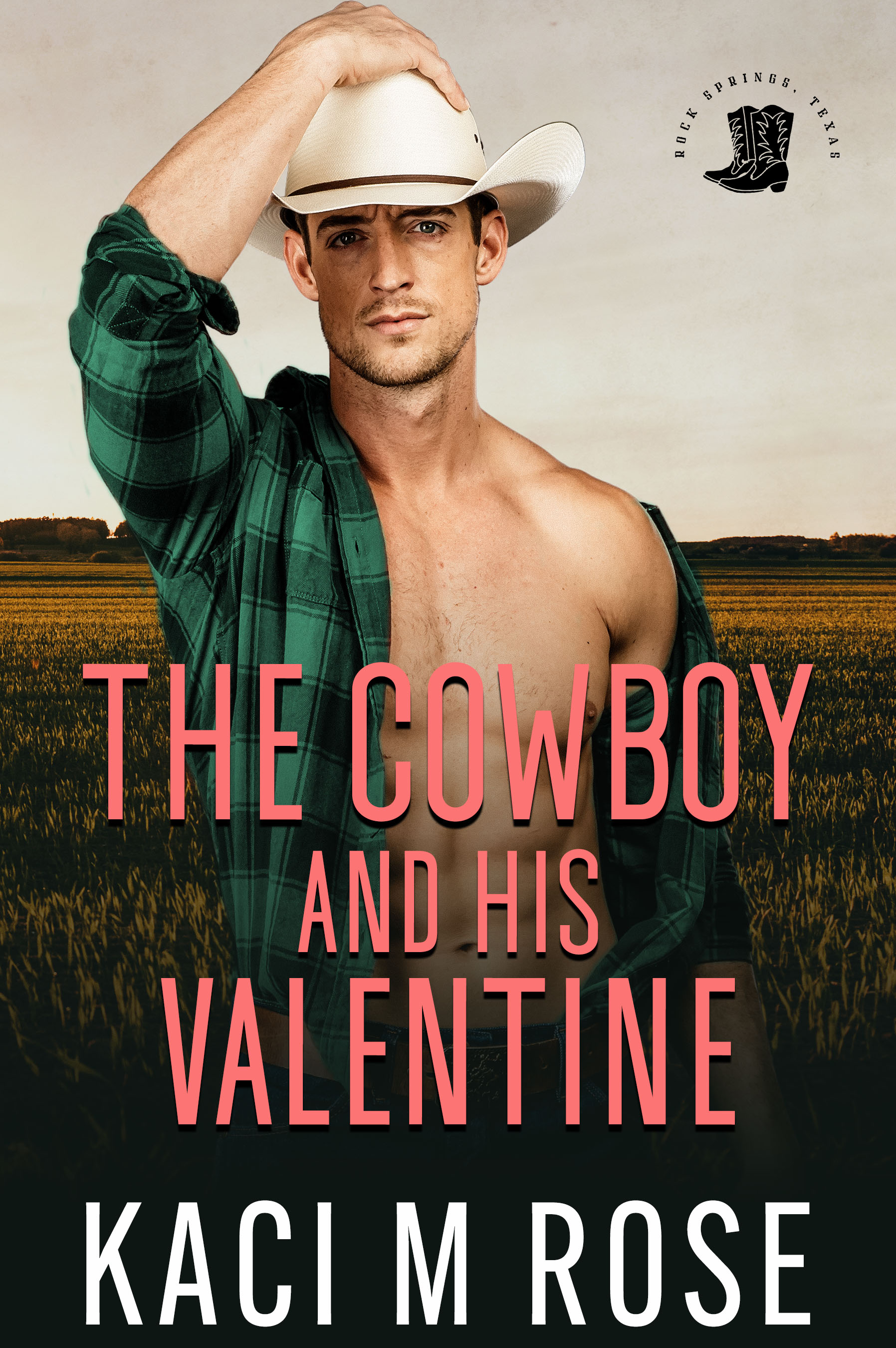 The Cowboy and His Valentine (Rock Springs Texas #7)