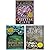 The Broken Earth Series (The Fifth Season, The Obelisk Gate, The Stone Sky) by N.K. Jemisin