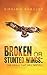 Broken or Stunted Wings by Virginia Egbujor