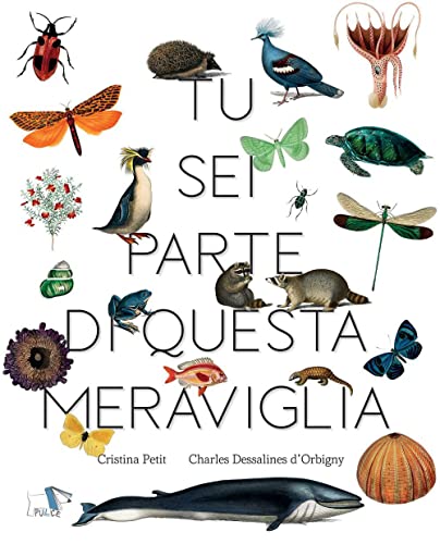 TU SEI PARTE DI QUESTA MERAVIGLIA (Hardcover)
