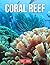 Coral Reef 2022 Calendar: M...