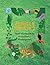 Jungle Math 2: Math Workboo...