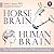 Horse Brain, Human Brain by Janet L. Jones