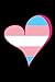TRANSGENDER PRIDE