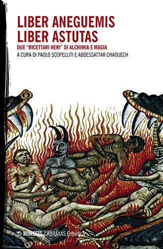 LIBER ANEGUEMIS / LIBER ASTUTA (Paperback)