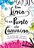 LINEA E UN PUNTO CHE CAMMINA