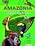 Amazônia - reserva verde da...