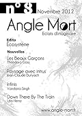 Angle Mort numéro 8