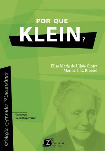 Por que Klein? (Paperback)