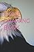 EAGLE DRAWING BOOK by Devashish Dhar