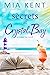 Secrets at Crystal Bay