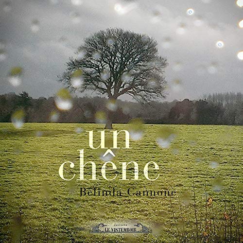 Un chêne (Paperback)