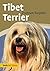 Tibet Terrier