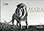 Mara : Rencontres intimiste...