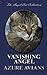 Vanishing Angel (The Angel Cat Collection)